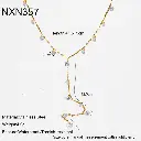 Shiny Lariat Necklace