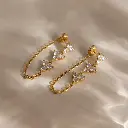Tassel Shiny Earrings