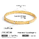 Shiny Bangle