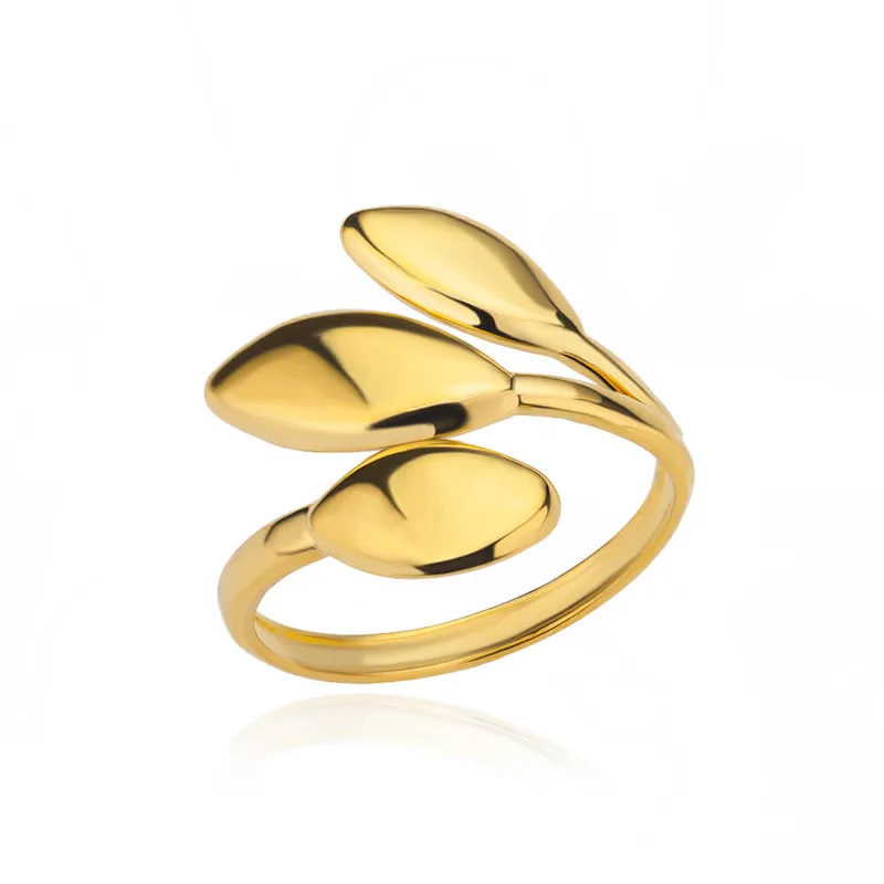 Anaí Ring